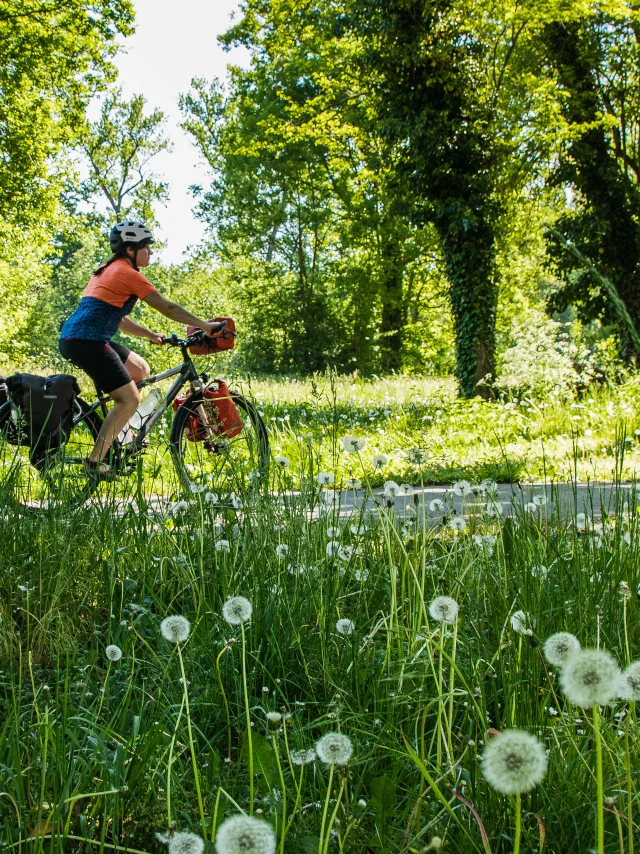 F-Veloire-FeursADT42-Un_Monde_a_Velo-1.jpg
