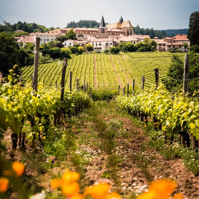 roanne-tourisme-ambierle-village-vignoble-22-Marie-Morin-@perspectivesdevoyage.jpg