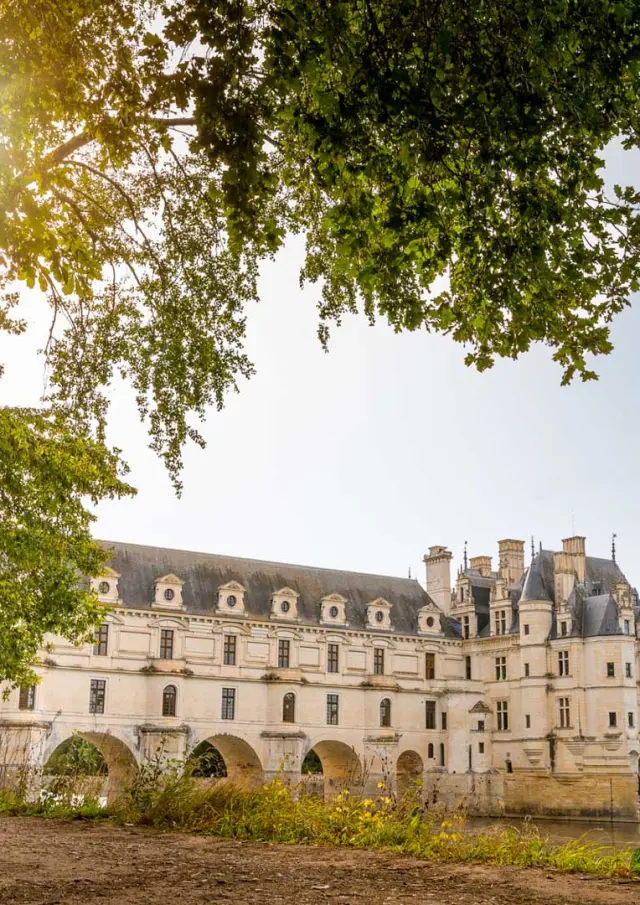Les Châteaux de La Loire à vélo - château de Chenonceau