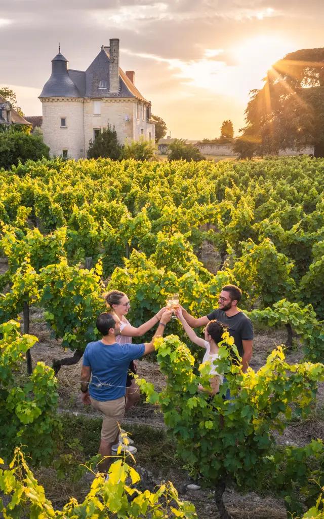 Vignoble en Touraine de Marc Plouzeau
