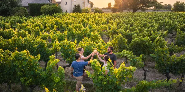 Vignoble de Chinon, dégustation dans les vignes au domaine Marc Plouzeau. Destination Touraine Val de Loire