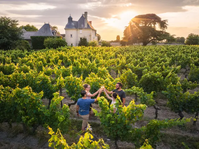 Vignoble de Chinon, dégustation dans les vignes au domaine Marc Plouzeau. Destination Touraine Val de Loire