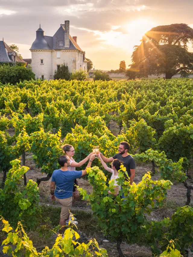 Vignoble de Chinon, dégustation dans les vignes au domaine Marc Plouzeau. Destination Touraine Val de Loire