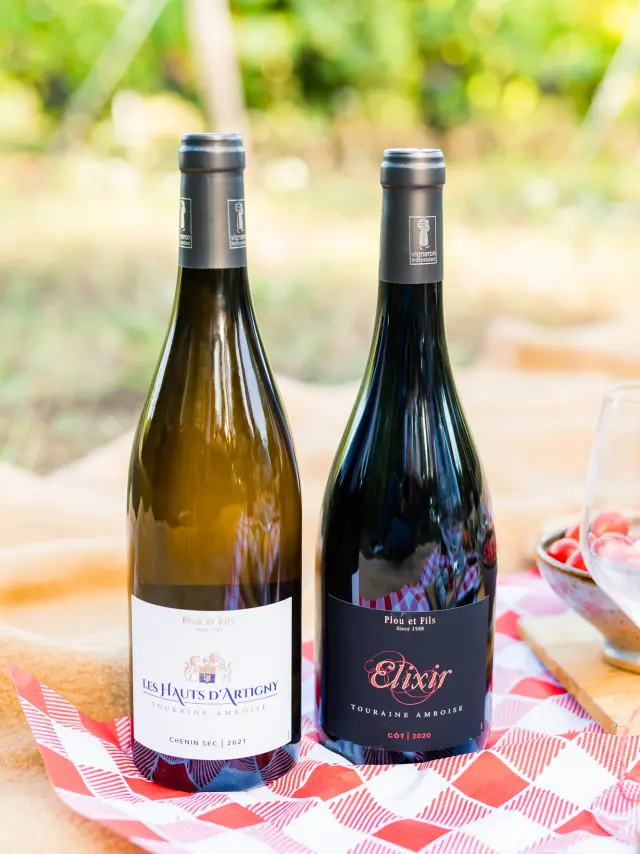 Vin AOC Touraine Amboise Cave Plou et Fils à Chargé