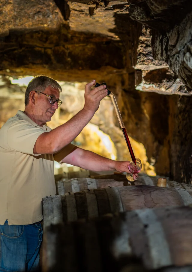 Domaine Lambert, cave touristique de l'AOC chinon. Cravant-les-Coteaux.