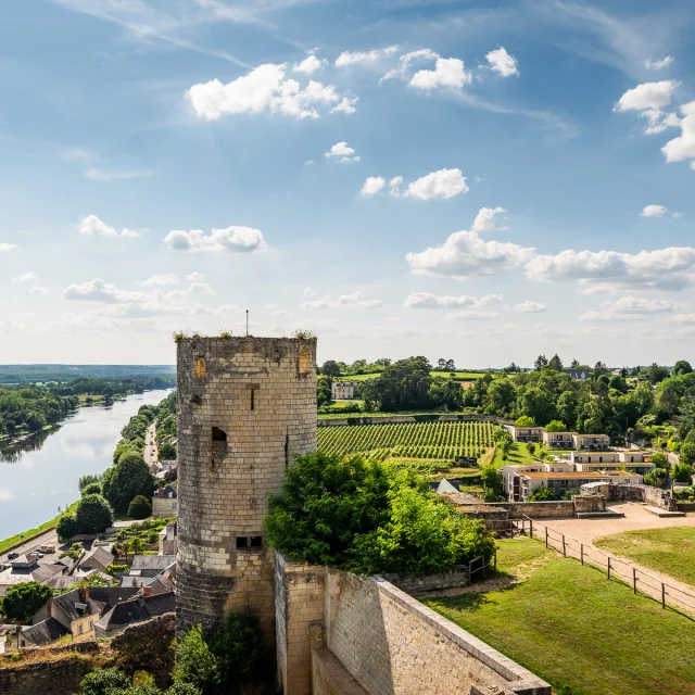 Forteresse royale de Chinon