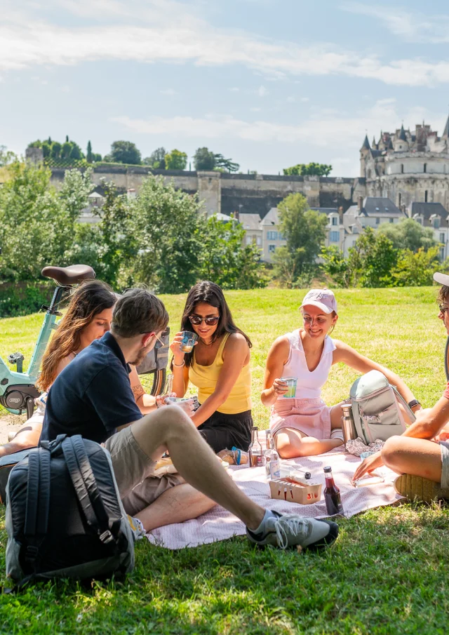 La Loire à Vélo : le château royal d'Amboise depuis l'Ile d'Or.