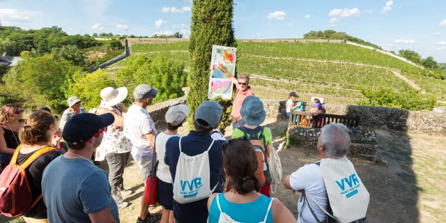 Evénement Vignes Vins Randos