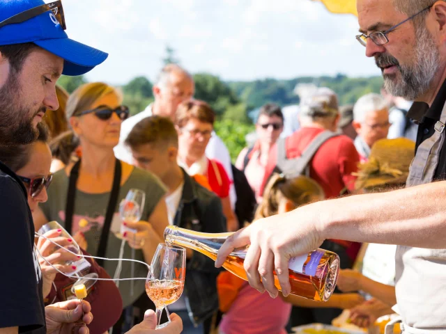 Evénement Vignes Vins Randos