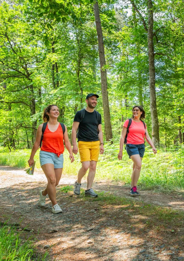 Randonnée en forêt de Chinon Touraine