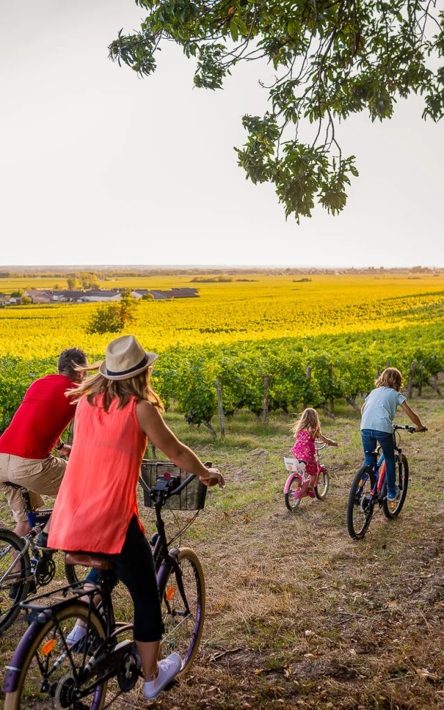 A vélo dans le vignoble de Bourgueil.