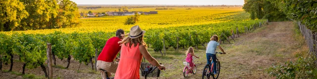 A vélo dans le vignoble de Bourgueil.