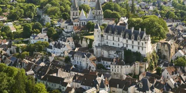Vue Aérienne Cite Royale de Loches