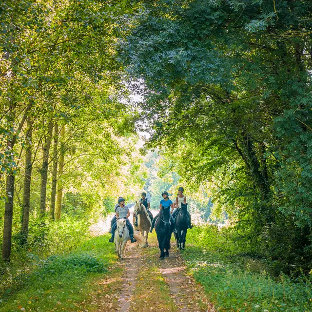 Paseos a caballo en Touraine