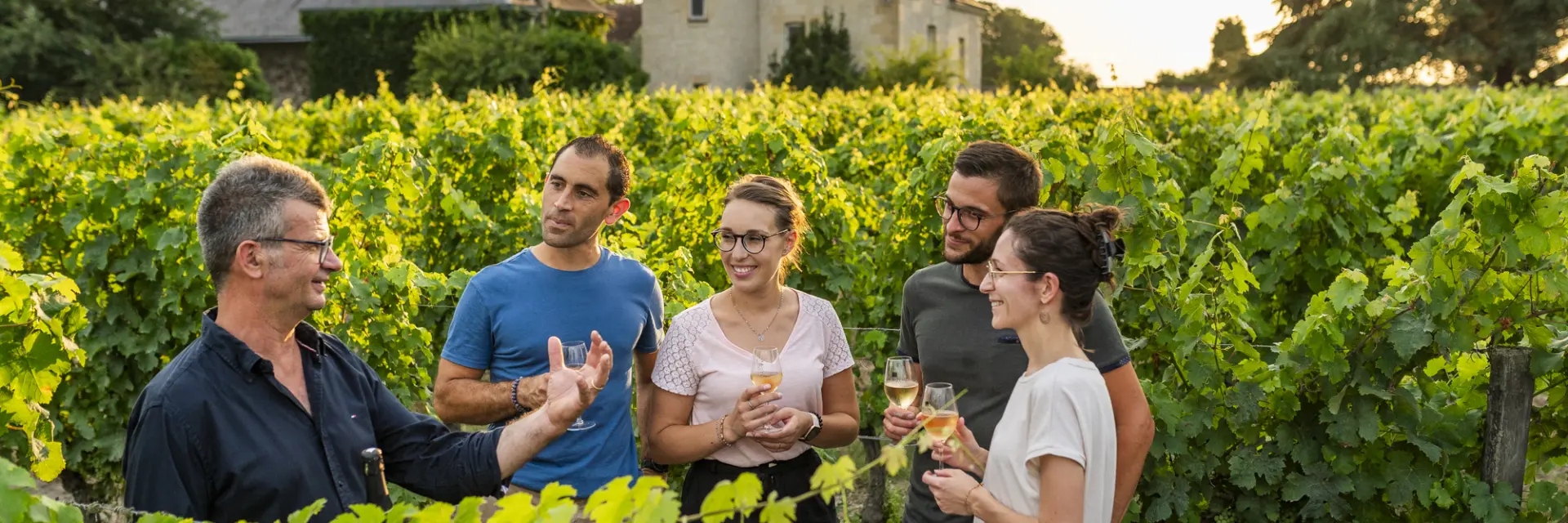 Vin de chinon Vignes de Marc Plouzeau