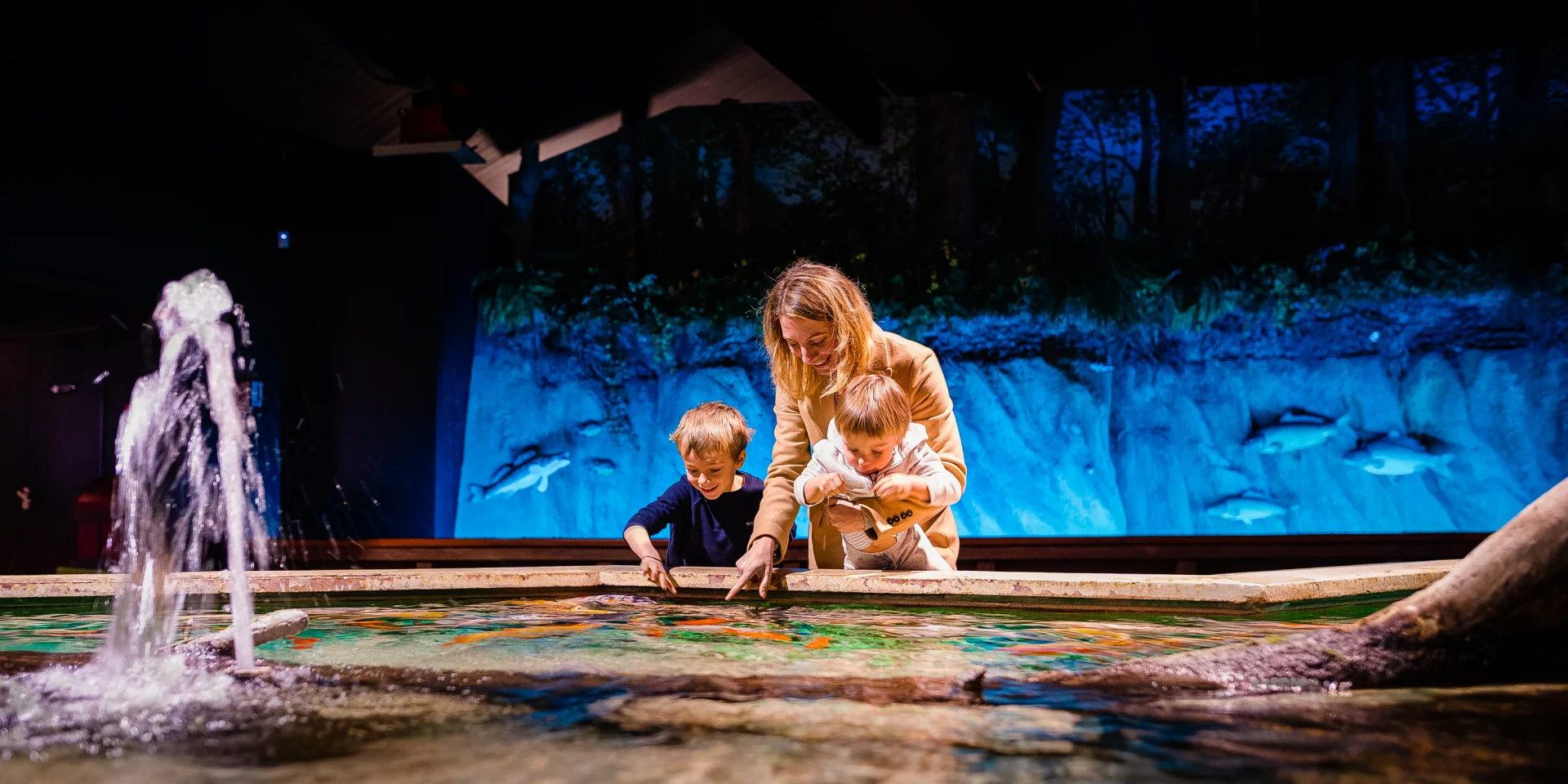 Aquarium Touraine Credit Adt37 Jc Coutand 2030 12