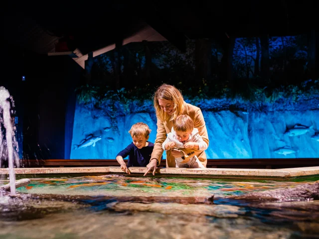 Aquarium Touraine Credit Adt37 Jc Coutand 2030 12