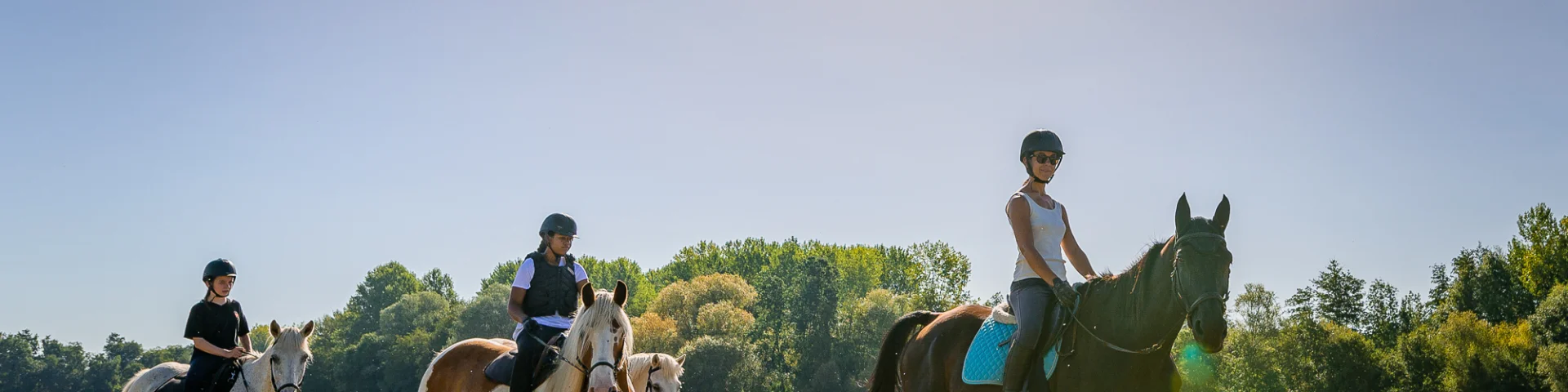 Paseos a caballo en Touraine