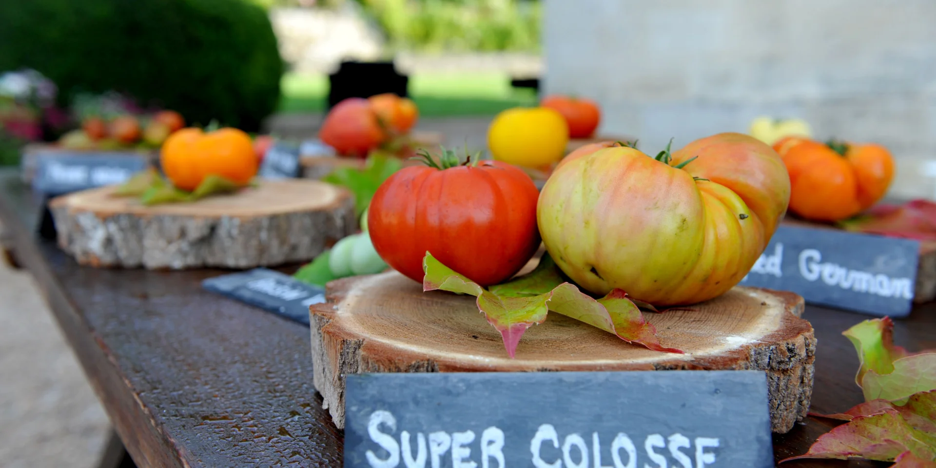 tomates del castillo de la Bourdaisière