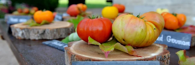 tomates du château de la Bourdaisière