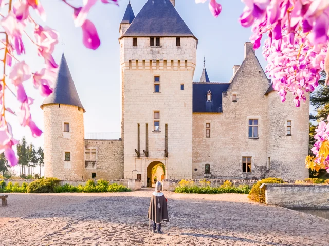 Château du Rivau à Lémeré