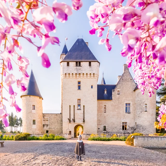 Château du Rivau à Lémeré