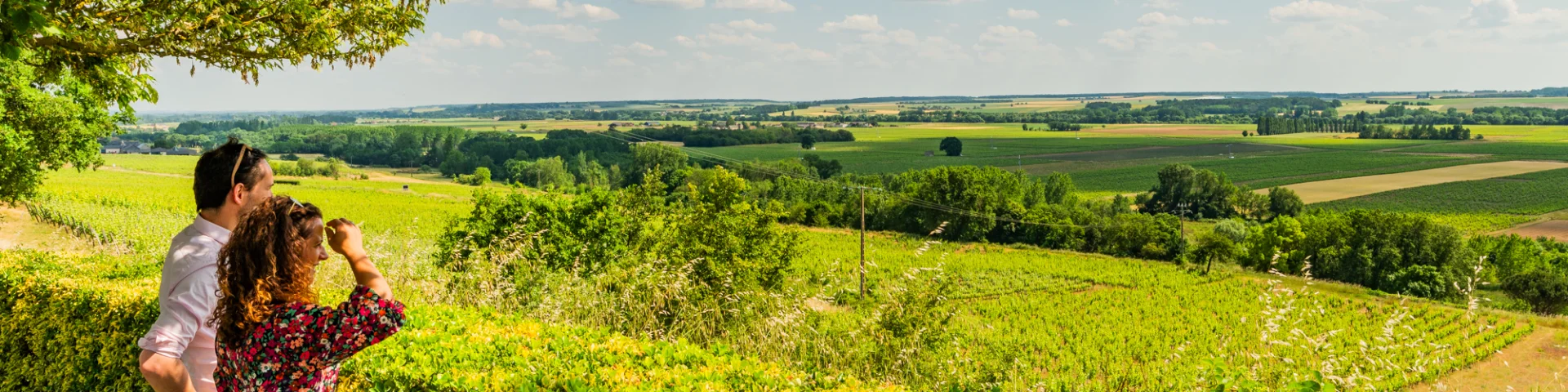 Nature spots overlooking the Domaine Lambert in Cravant-les-coteaux