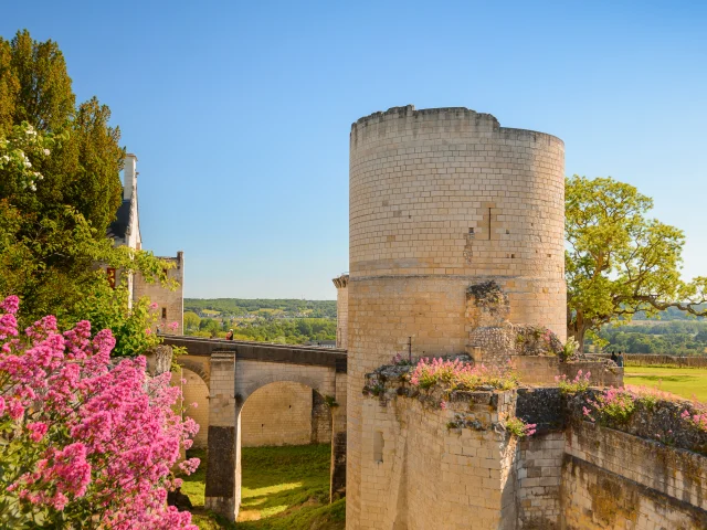 Tour du Coudray - Forteresse Royale de Chinon