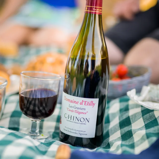 AOC Chinon Domaine d'Etilly red wine