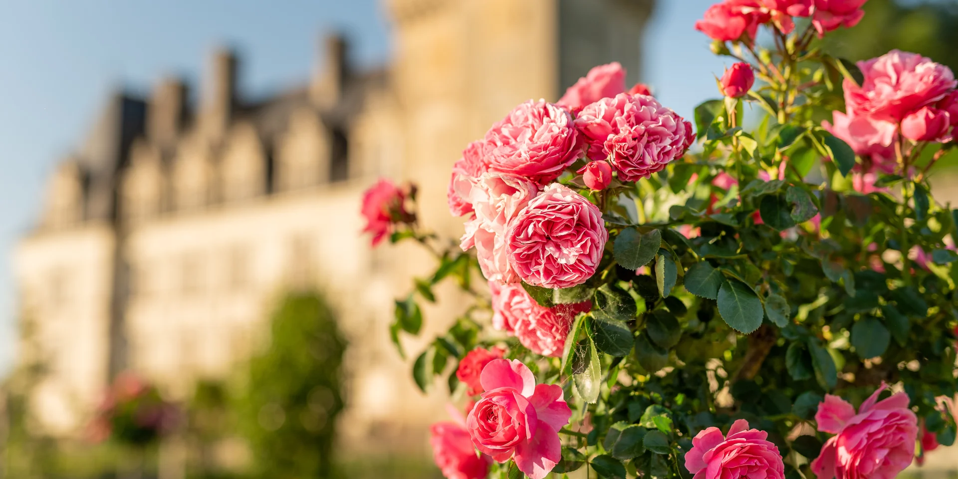 Rosaleda de Villandry