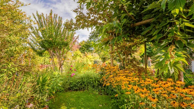 Jardin de Mireille Touraine