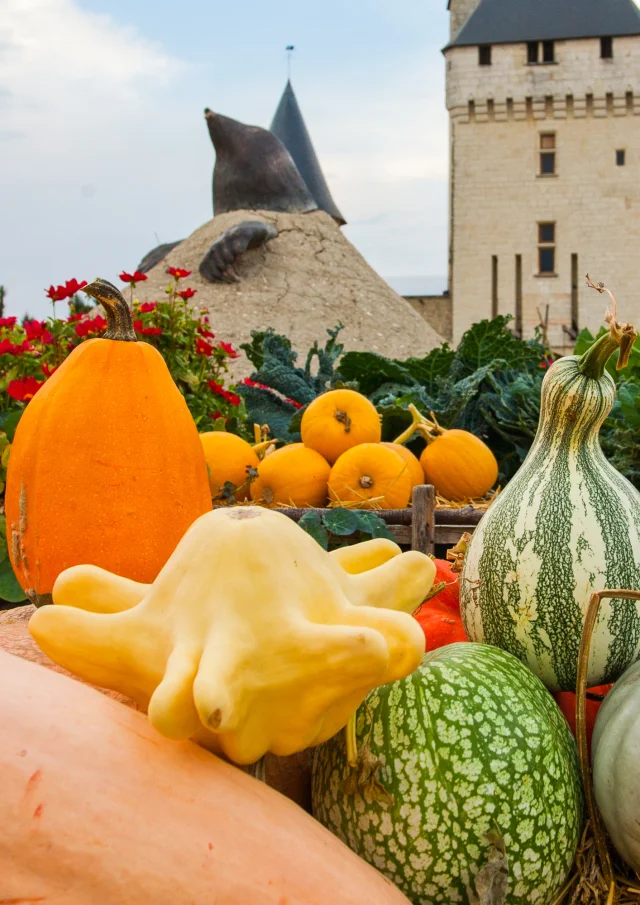 Courges du château du Rivau