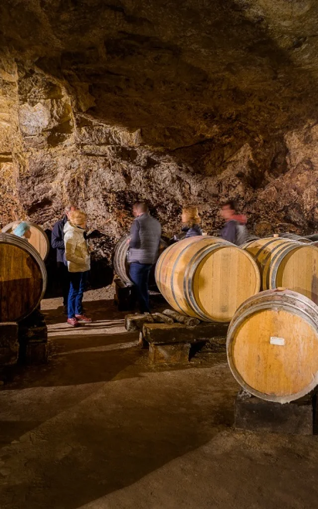 Cave Domaine Quarterons Visite Guidee Vignoble Vinoloire Adt Touraine Jc Coutand 2031 40