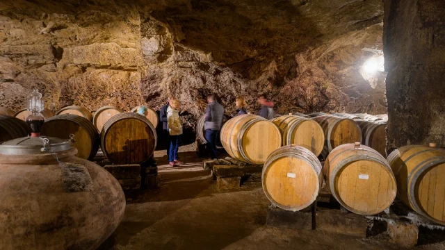 Cave Domaine Quarterons Visite Guidee Vignoble Vinoloire Adt Touraine Jc Coutand 2031 40