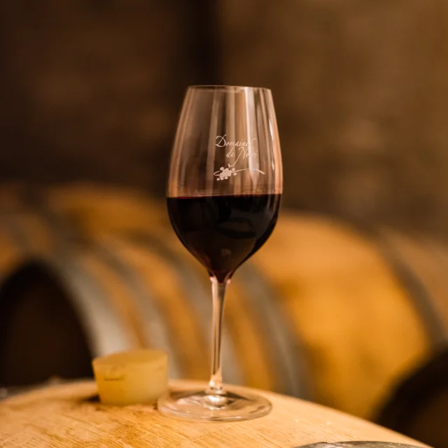 Vin rouge AOC Chinon - Domaine De Noiré