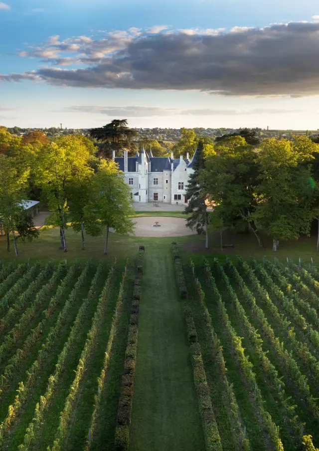Château de La Grille AOC Chinon