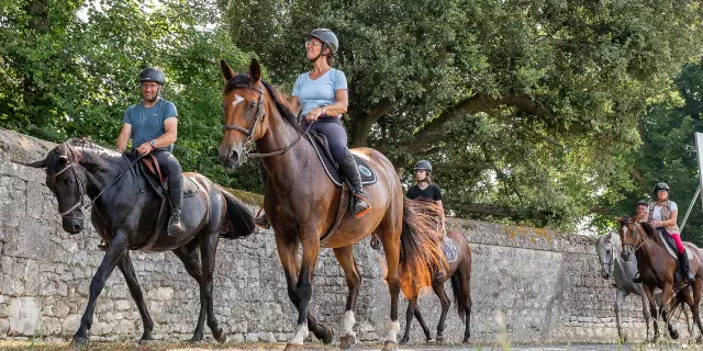 Les Ecuries du Vignoble Centre Equestre
