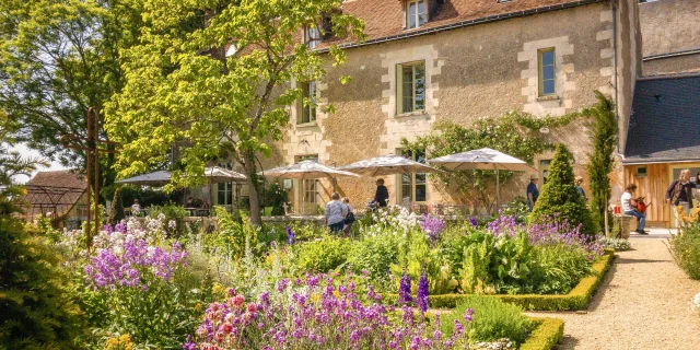 Jardin du presbytere-maisonflore à Chedigny