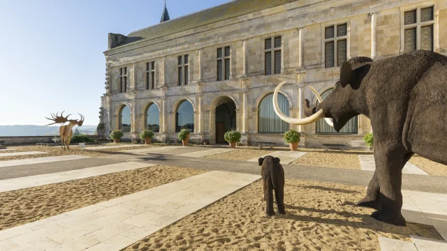Musée de la Préhistoire du Grand Pressigny