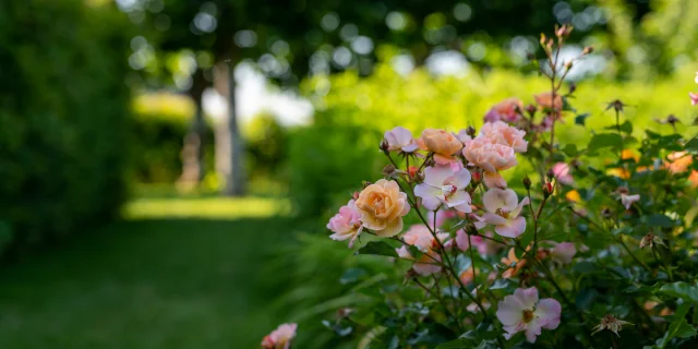 Jardins De Villandry Credit Adt Touraine Jc Coutand 2030 1