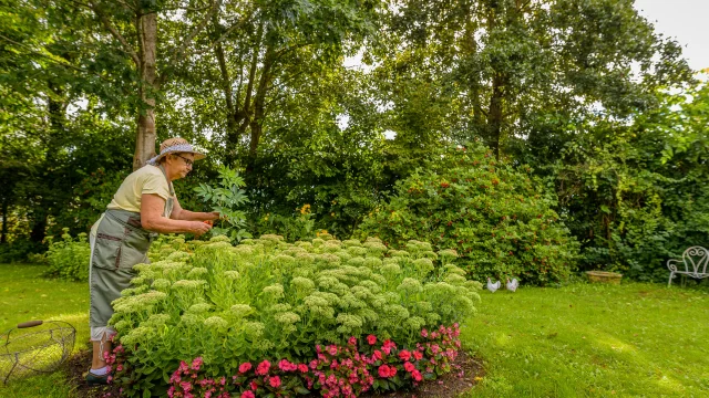 Le Jardin de Mireille à Channay-sur-Lathan