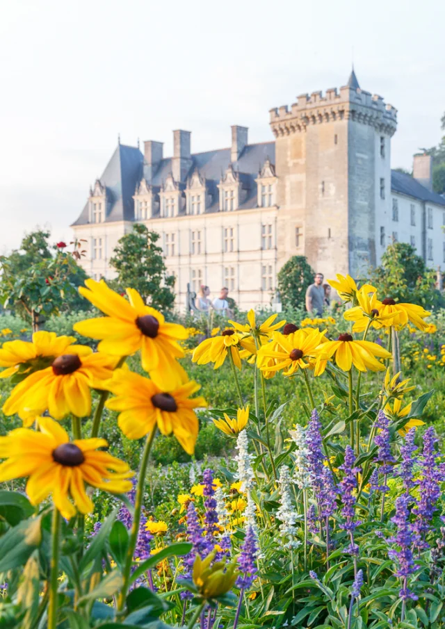 I giardini del Castello di Villandry