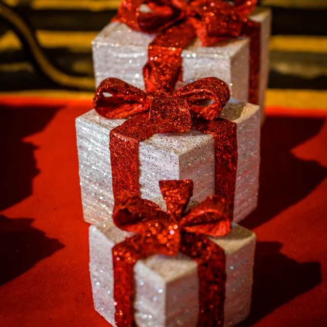 Noël au logis royal de Loches