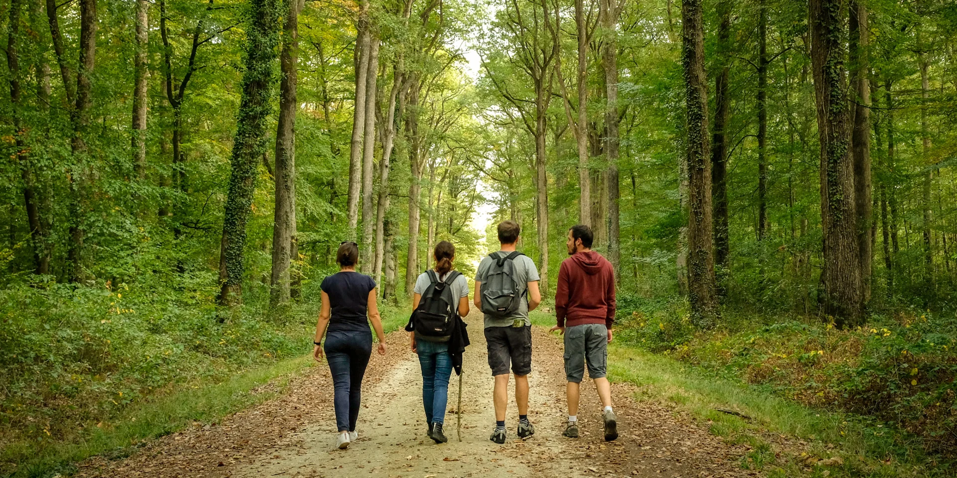 Passeggiata nella foresta di Loches