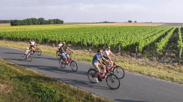 A la demi-journée Des boucles vélos adaptées aux familles - Vélos au bord des vignes chez Marc Plouzeau