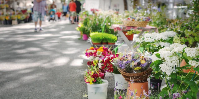 Ville de Tours Marché aux Fleurs