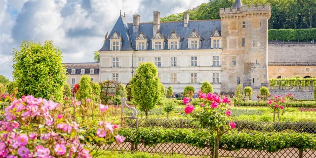 Couleurs des roses aux jardins du Château de Villandry