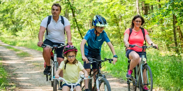 Familienfahrräder im Wald von Chinon