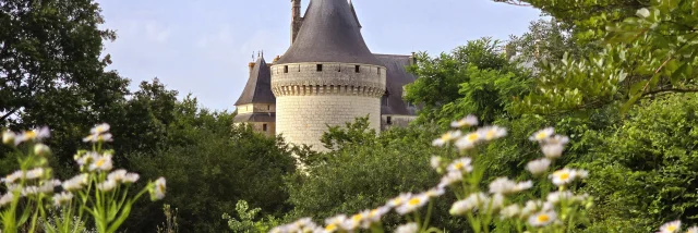 Château de Chaumont-sur-Loire