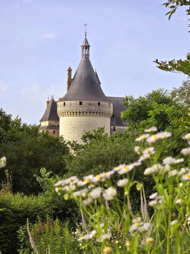 Château de Chaumont-sur-Loire